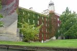 PICTURES/Cambridge - Punting Down the Cam River/t_Ivy Covered.JPG